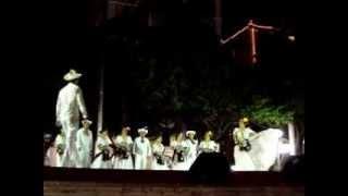 SON JAROCHO EL PALOMO Y LA PALOMA (VALET FOLKLÓRICO "SON DE VERACRUZ"