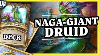 NAGA - GIANT DRUID - Hearthstone Deck Wild (KotFT)