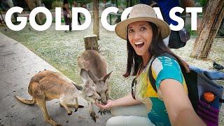Exploring Gold Coast and Meeting Kangaroos for the First Time (vlog 2)