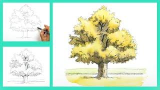 [Pen + Watercolor] Ginko- Basic Urban Sketch (pen drawing & color mixing) by YU