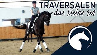 Reitest Du Deine Traversale richtig? | Preview | ClipMyHorse.TV Academy |