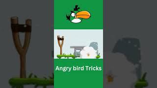 Angry birds tricks | Boomerang #angrybirds #shorts #bird