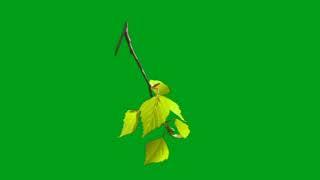 Green plants tree moving green screen effects #goharinfo #greenscreen #greenscreenstudio #plants