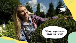 Обзор взрослого сада (10+ лет) | Кулисная посадка | Цветники | Хвойные на участке | Хвойные в саду