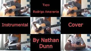 Rodrigo Amarante - Tuyo - Instrumental Cover by Nathan Dunn