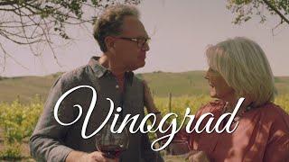 Mladen Grdović i Mejaši - Vinograd (Official lyric video)