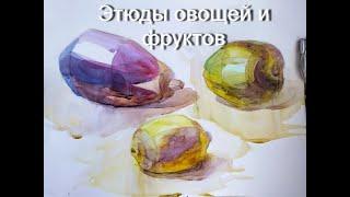 Фрукты и овощи. Акварельный этюд./ Fruits and vegetables. Watercolor etude