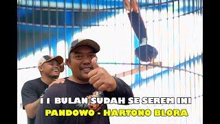 UMUR 11 BULAN SUDAH SE SERAM INI‼️PANDOWO - HARTONO BLORA.