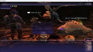 FFXI - HorizonXI - KSNM30 Copy Cat