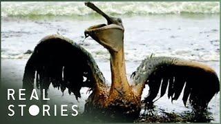 Oil or Nothing: BP's $30 Billion Blowout (Investigative Documentary) | Real Stories