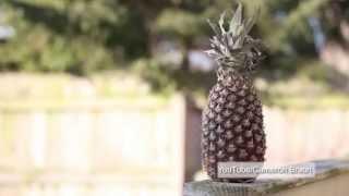 Fruit ninja: Man buried under falling fruit in warehouse accident