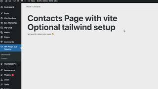 WordPress Plugin boilerplate with Vue, Tailwind setup (Vite build)