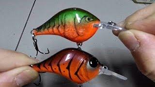 Rapala DT6 vs Bill Lewis MR-6 UNDERWATER comparison