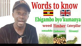 Words to know.Ebigambo byokumanya️#english #learnluganda #education