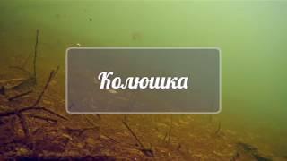 Под водой. Колюшка (с наживкой)