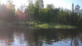 You are Near - Sheila Surban & Sakari Kukko