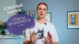 ОТВЕТЫ НА ВОПРОСЫ - ЧАСТЬ 2. Как отучить щенка кусаться, ставить лапы и прыгать на людей?