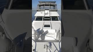 1995 Sea Ray 440 Express Bridge - "BACKATCHA" Social Reel