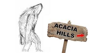 Yowie / Bigfoot Sighting (Audio Report #24) at Acacia Hills, Northern Territory