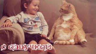 Funny Animal Videos 2024 - Funniest Dogs and Cats Videos #258