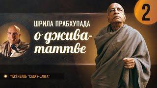 "Шрила Прабхупада о джива-таттве", день 2 — фестиваль "Садху-санга", 23 сентября 2024г.