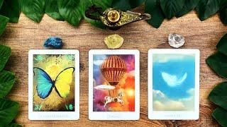 DESTINY BROUGHT YOU HERE! 🪽| Pick a Card Tarot Reading