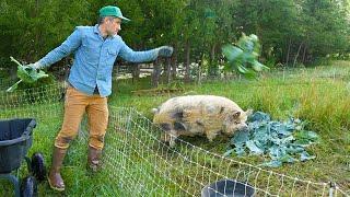 Day on a Small Romantic Farm