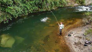 You won't Believe How Good This River is. Big Trout Everywhere! pt. 2