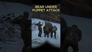 SCUM 0.9 Gameplay - Assisting a Bear Under Puppet Attack!  #scumgameplay #scumgame