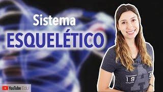 Sistema Esquelético 1/5: Introdução | Anatomia e etc