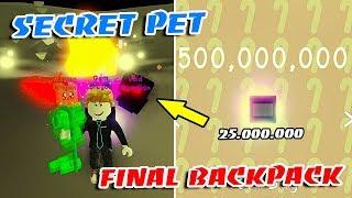 I GOT ALL SECRET PETS In REBIRTH AREA & FINAL BACKPACK In CANDY CANE SIMULATOR!! (Roblox)