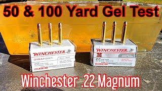 Winchester Super X & Dyna Point .22WMR Ballistic Gel Test at 50 & 100 Yards - 22 Magnum