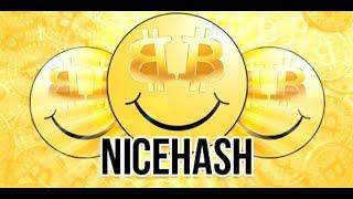 www.nicehash.com - как арендовать мощность на примере www.clona.ru