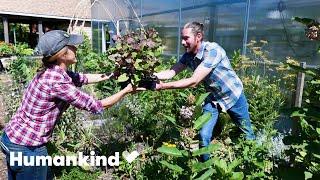 How this urban farm is feeding those in need fresh and free food | Humankind