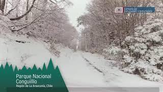 Emisión en directo de Diputadas y Diputados de Chile