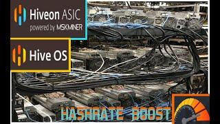 HIVEON ASIC | CONTROL ASICS W/ HIVEOS | POWERED BY MSKMINER | HASHRATE BOOST