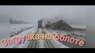 На болото за торфом.  #Большегруз22колеса#щеповоз#дальнобой