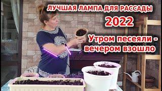 Лучшая фитолампа для рассады 2022  Сравниваем лампы для подсвечивания растений