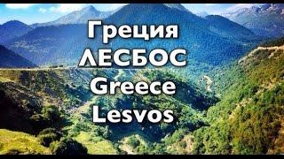 Vlog: Мой Лесбос Медуза и Рыбацкая деревня Греция Greece Lesvos