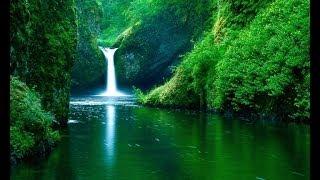Water of life (Stephen Dean)