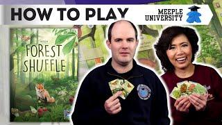 Forest Shuffle - How to Play - With Tips!