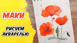 Как нарисовать маки акварелью / Урок рисования для начинающих