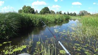 Bites even in heat. Perch and ide on spinning.