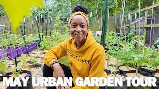 FULL Urban Garden Tour | Zone 7B, VA | There's Been Some Changes (It's Finally Gone)