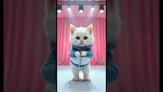 Cat dance baby shark