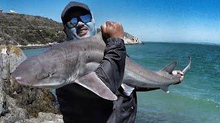 Ep 30 - Langebaan Lagoon Sharks | Baits and Traces