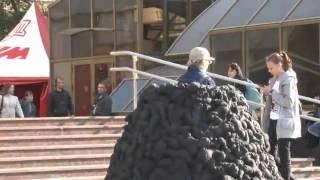 Михаил Гулин: "Норка"