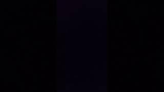 22 December 2024
