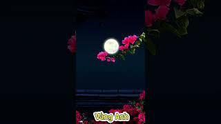 một cõi đi về, guitar cover, 기타 커버, 吉他封面, guitar solo, guitar cover không lời, guitar cover hay,