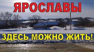 Ярославы. Липецкая область. Данковский район